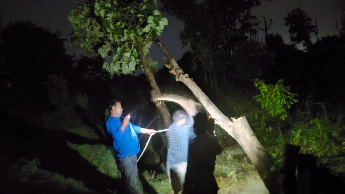 Basti News: तेज हवा के साथ बारिश, हाईवे पर पेड़ गिरने से घंटों थमा रहा यातायात