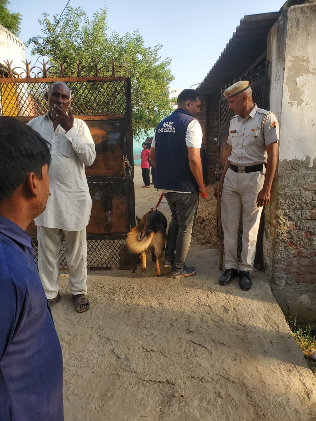 घरों की जांच करते हुए पुलिसकर्मी। 