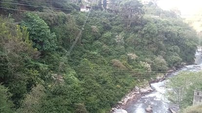 झाड़ियों से पूरी तरह से ढका साल खड्ड स्थित श्मशानघाट कोजाने वाला रास्ता। संवाद