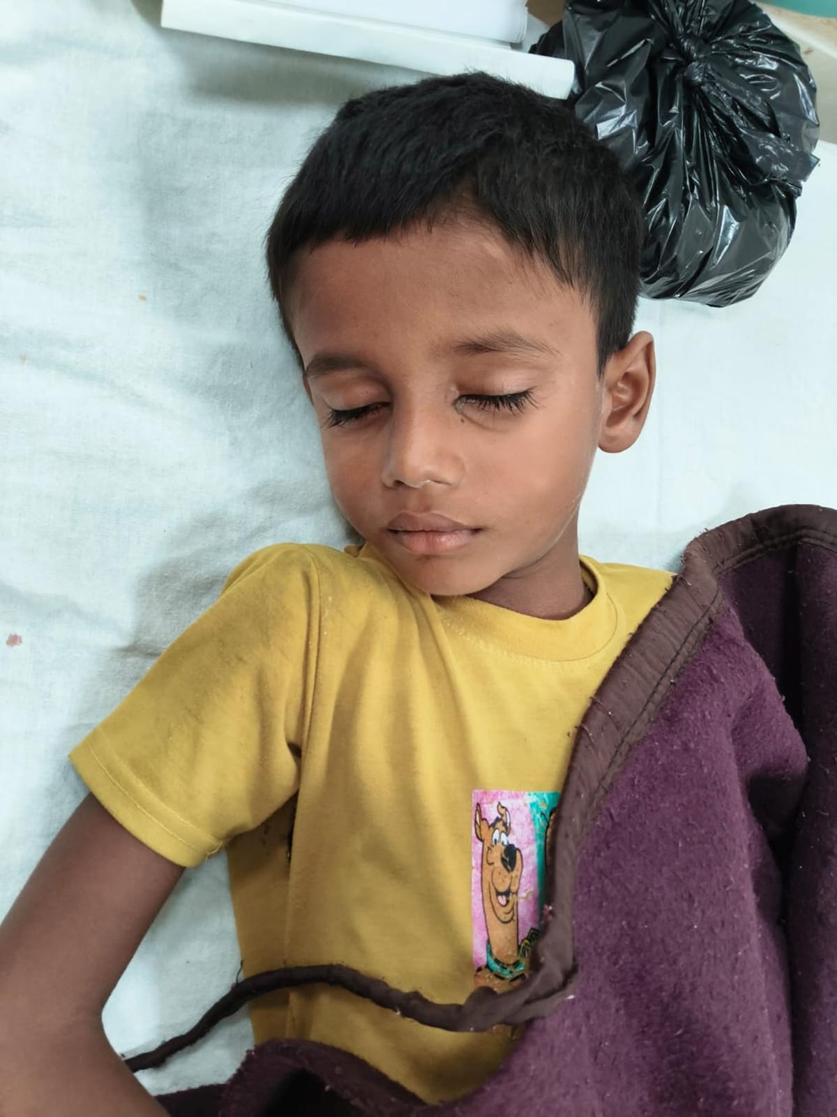 Bahraich News: कुत्तों के हमलों में बालक व बालिका घायल