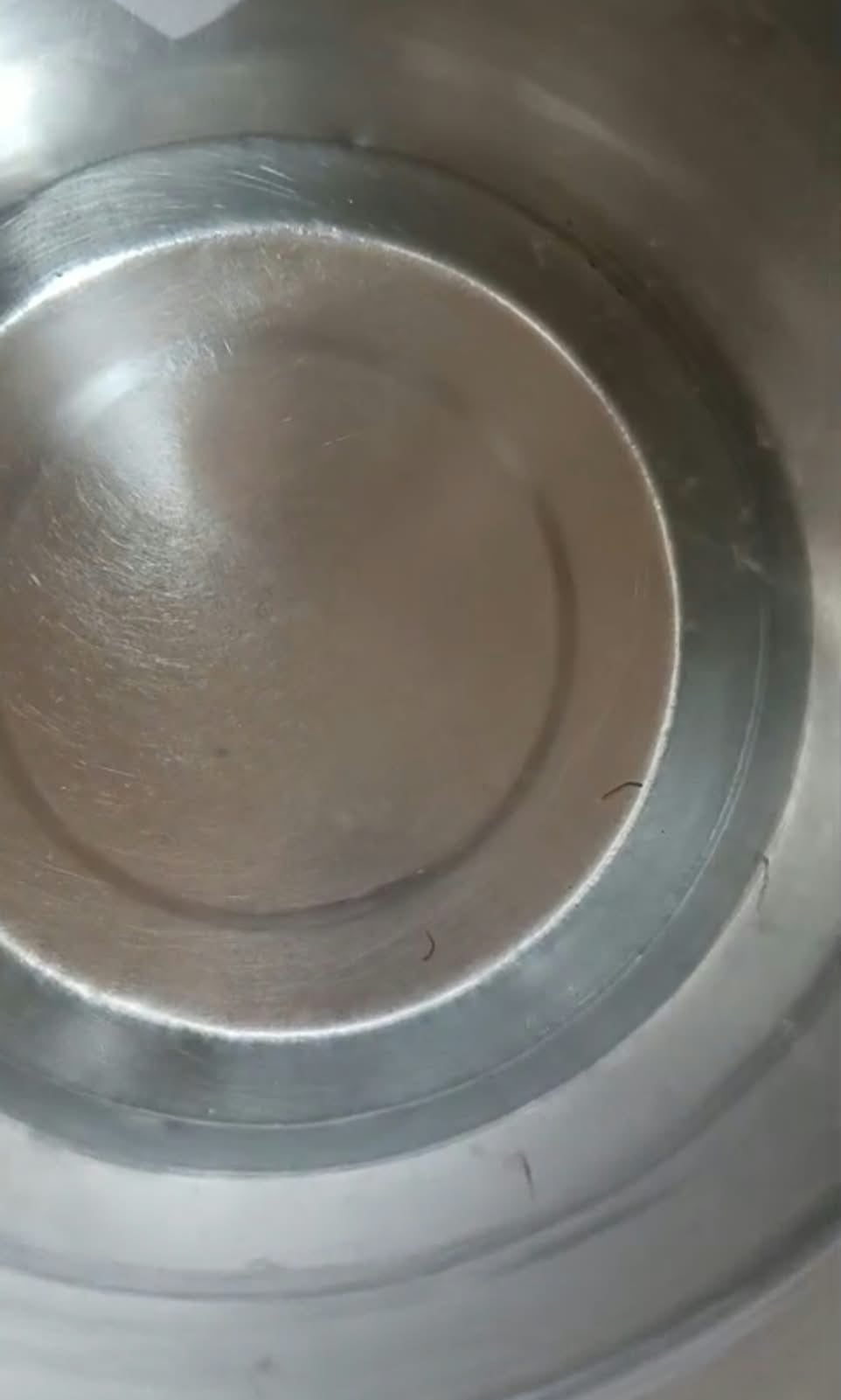 Etah News: रसूलपुर गढ़ौली की पेयजल सप्लाई में निकले कीड़े