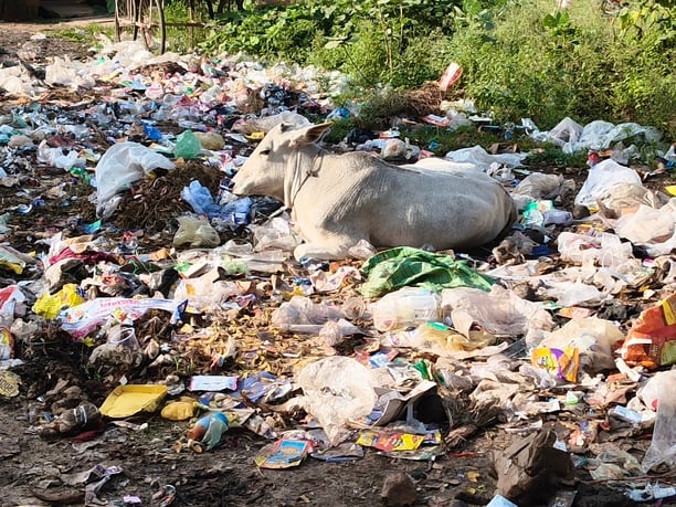 Lalitpur News: खांदी के रानीपुरा मजरे में गंदगी का अंबार, बेफिक्र जिम्मेदार