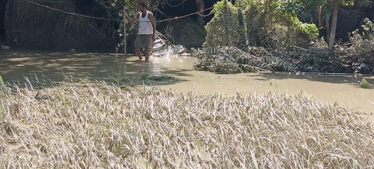 Kushinagar News: बाढ़ प्रभावित गांवों से हट गया बाढ़ का पानी, ग्रामीणों की परेशानी अब भी बरकरार