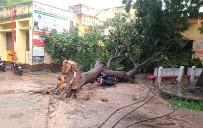 तेज हवा व बारिश से गिरे पेड़ के नीचे दबी बाइक।    -संवाद