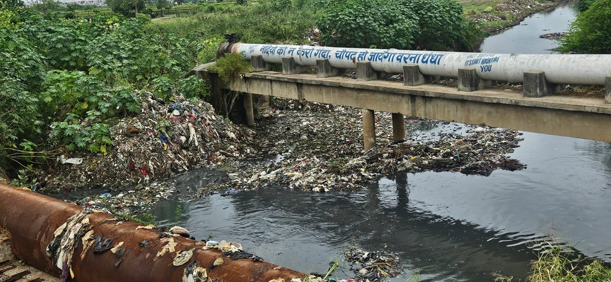 Agra News: यमुना में नाले गिरने पर एनजीटी सख्त, निगम से चार सप्ताह में मांगी रिपोर्ट