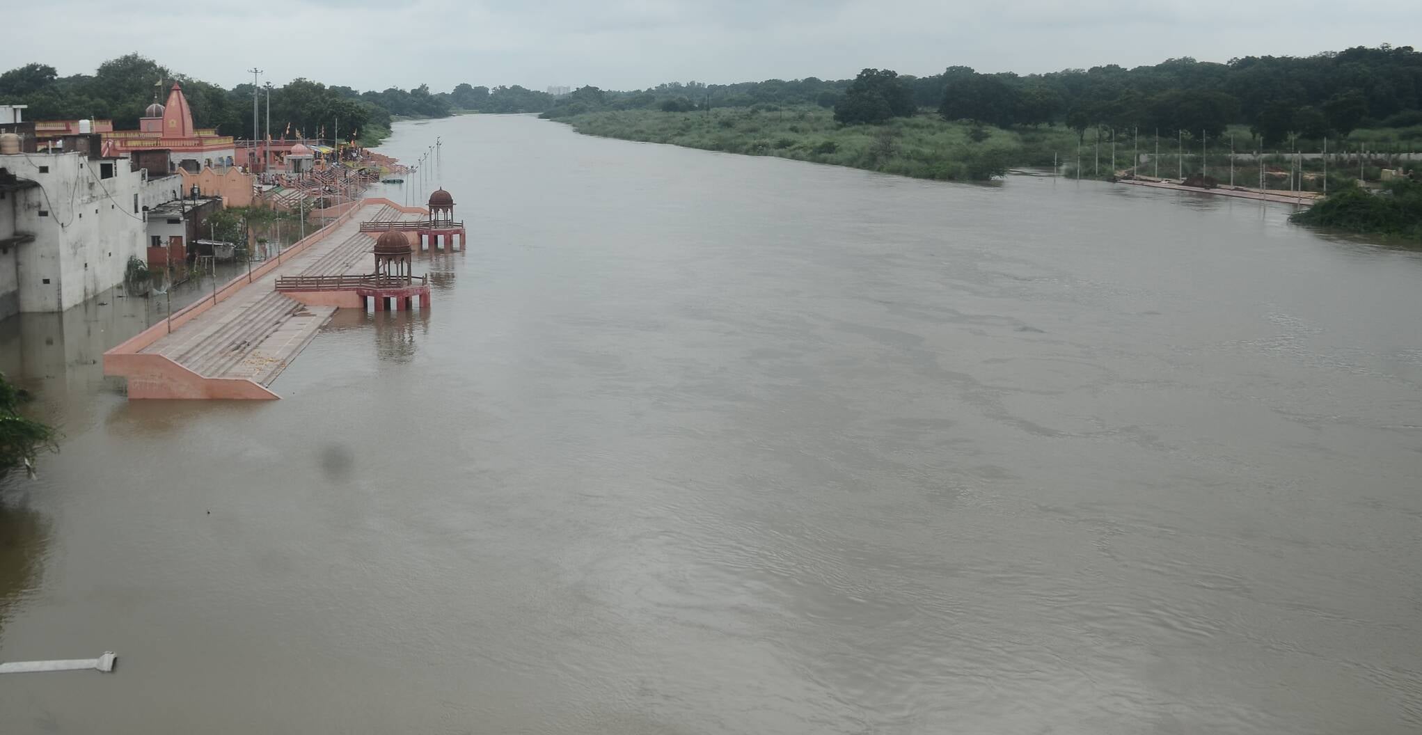 Slug Fish Pratapgarh News:गोमती और सई में मछली पकड़ेंगी समितियां, होगी नीलामी ...