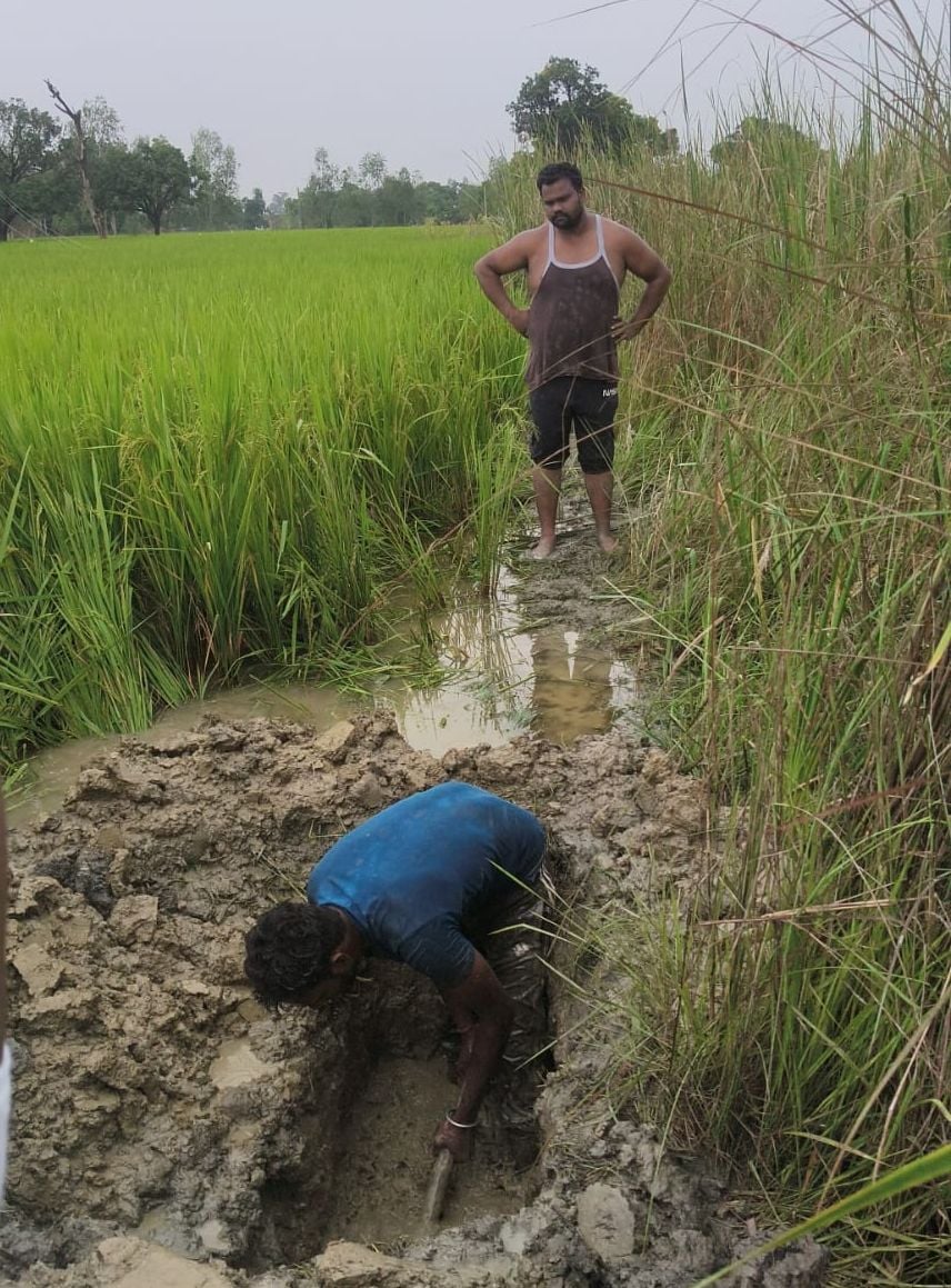 Raebareli News: पानी जमा होने से झुका पोल, आठ घंटे बिजली गुल