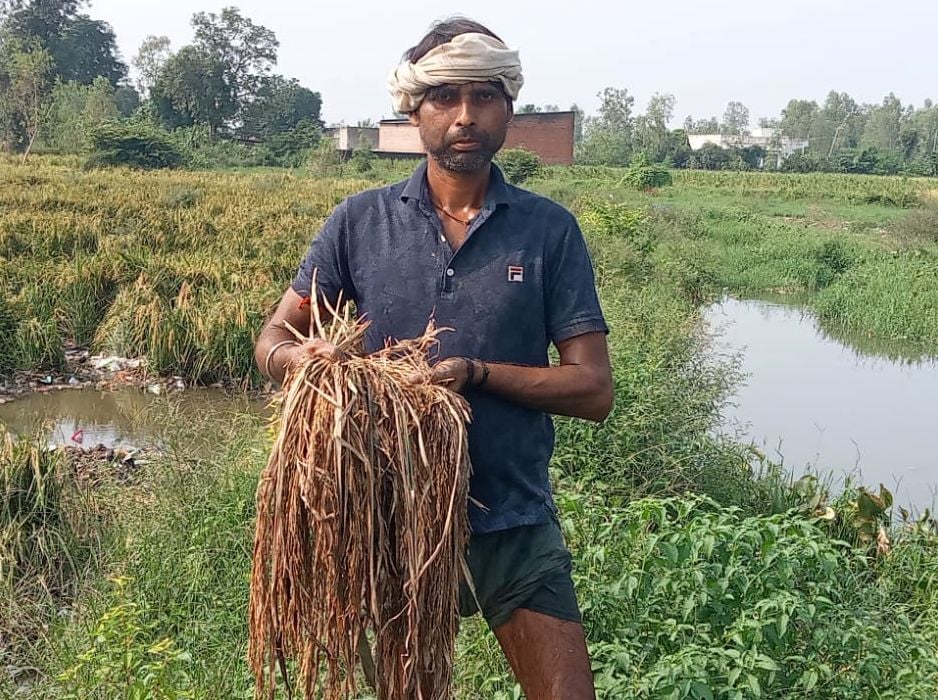 Shahjahanpur News: शहर की सड़कें बनीं तालाब, खेतों में धान की फसल बिछी