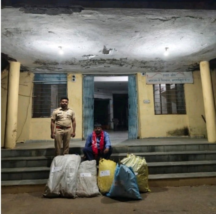 राजस्थान: सिरोही में खेत से गांजे के 530 पौधे जब्त, 31.190 किलो गांजे के साथ आरोपी गिरफ्तार