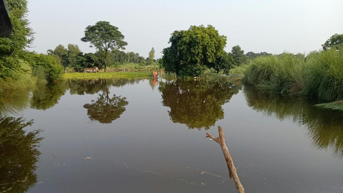 Raebareli News: सई के उफान से खेत और सड़कें डूबीं