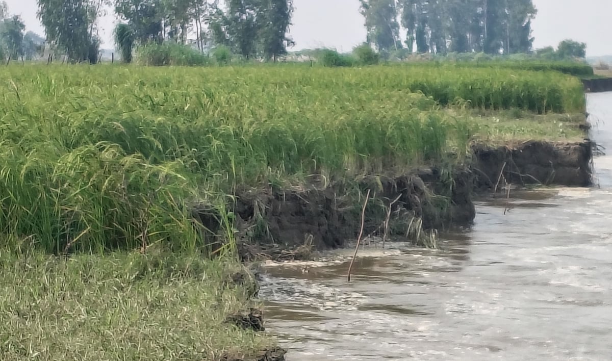 Fatehpur News: गंगा-पांडु का जलस्तर घटा, कटान से नदी में जा रही किसानों की जमीन