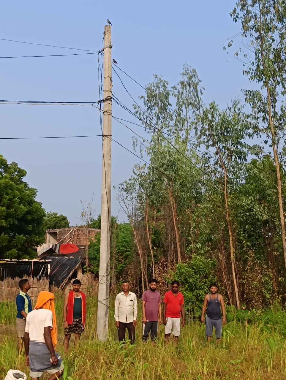 Prayagraj News: 20 वर्षों से तार की बाट जोह रहे खंभे