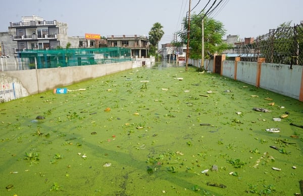 Lucknow News: बाढ़ प्रभावित इलाकों में ड्रोन से एंटी लार्वा का छिड़काव, राहत कार्य तेज