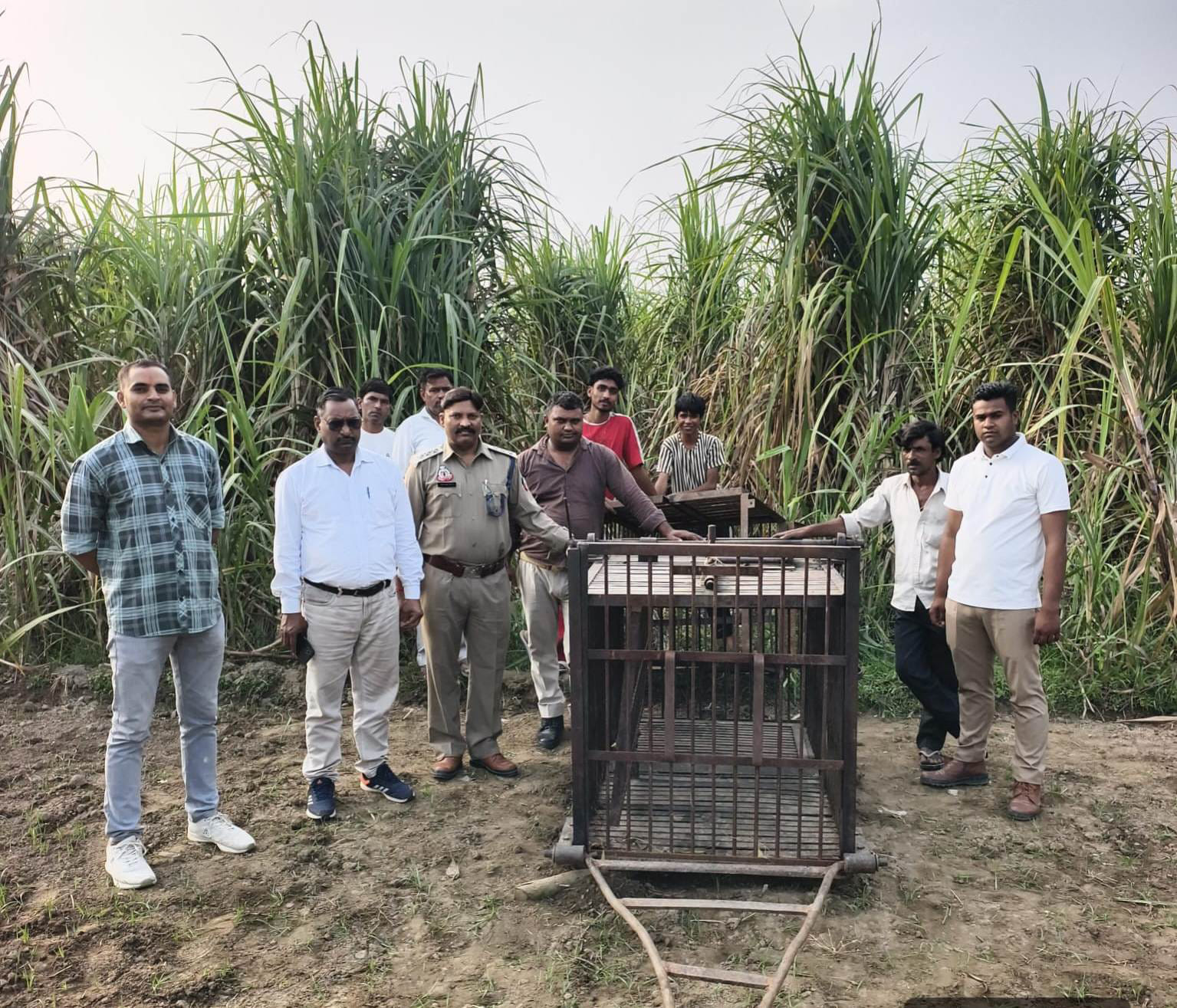 गांव पावटी के जंगल में पिंजरा लगाने पहुंचे वन विभाग के अधिकारी-कर्मचारी। स्रोत विभाग