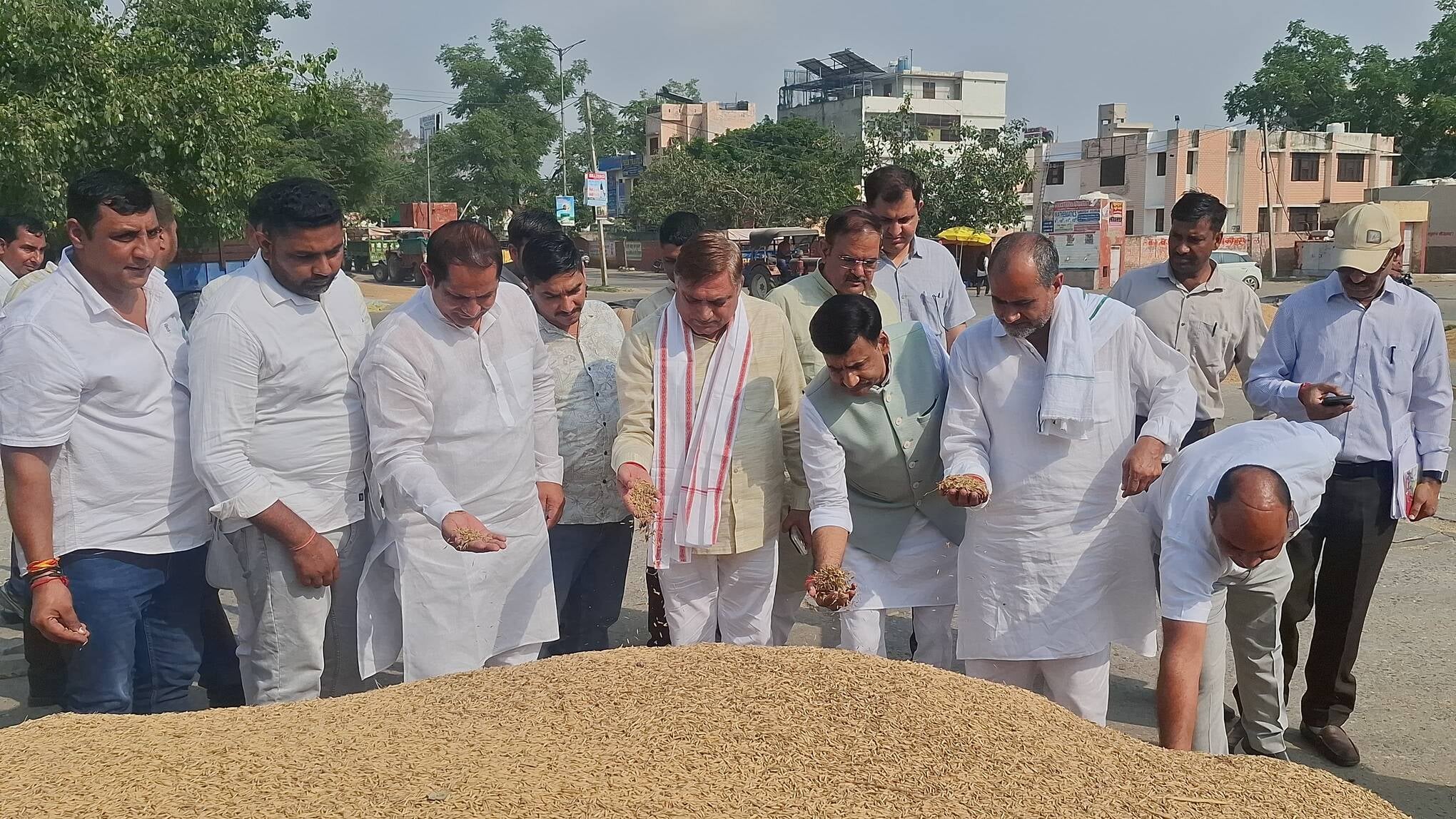 मंडी में धान में नमी की जांच करते मार्केटिंग बोर्ड अध्यक्ष वेदपाल। संवाद