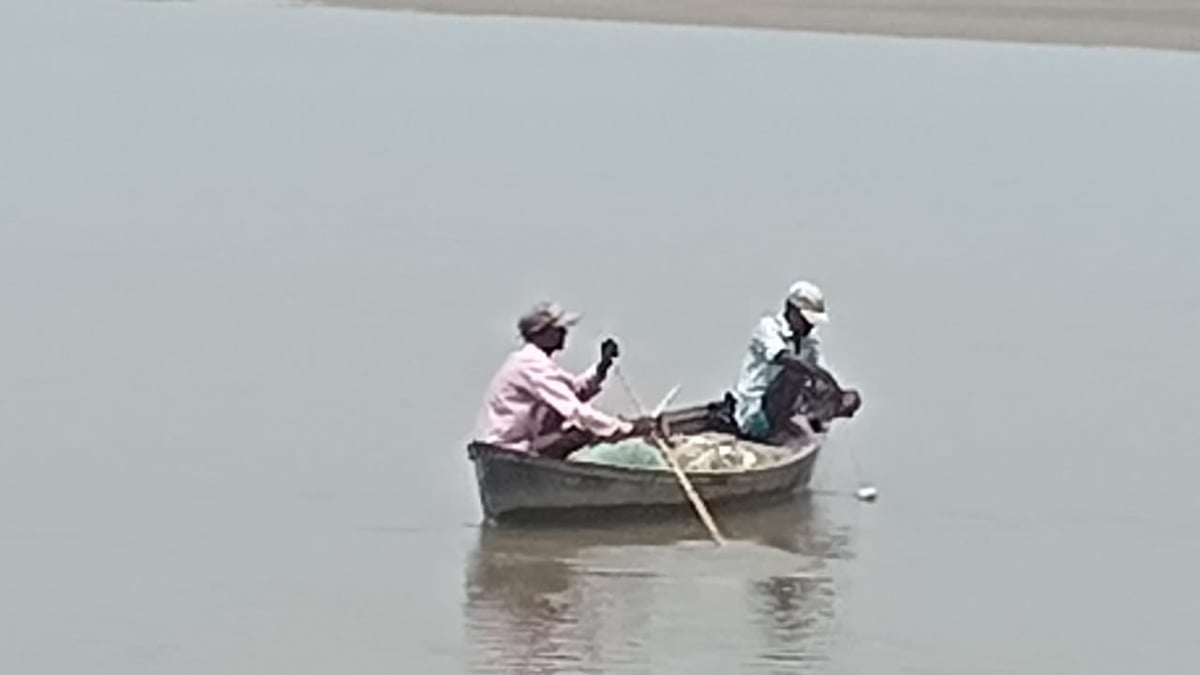 Pilibhit News: तीन साल से मछली का ठेका नहीं, शारदा सागर डैम में अवैध शिकार का खेल