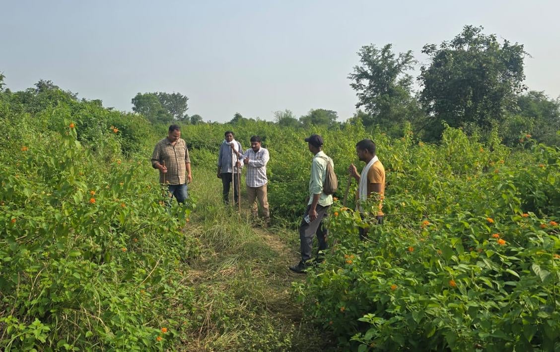 Sitapur News: 83 दिन बाद भी बाघिन को पकड़ने में वन विभाग नाकाम, फिर मिले पगचिह्न