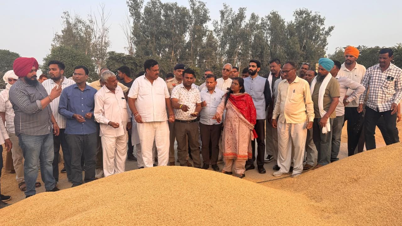 10 सफीदों 2सफीदों अनाज मंडी का निरीक्षण करते हुए डीसी डॉक्टर वैशाली शर्मा। स्रोत लोक संपर्क वि