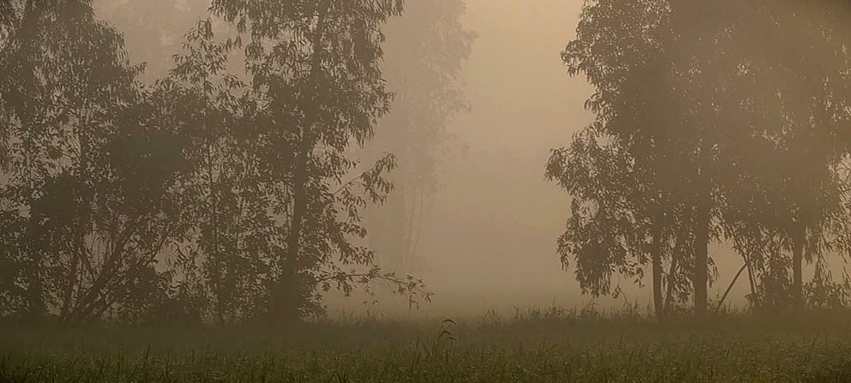 Azamgarh News: सुबह पड़ रहा घना कोहरा, दिन में हवा ने बढ़ाई सिहरन