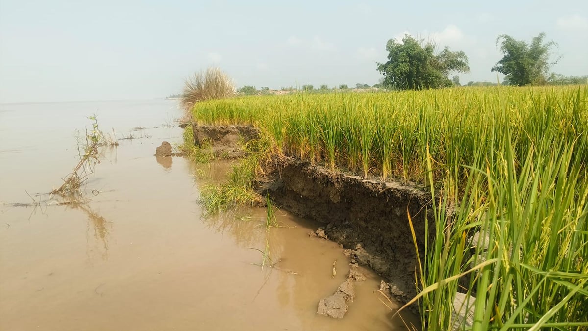 Bahraich News: 14 बीघा जमीन और चार पेड़ सरयू की धारा में समाए