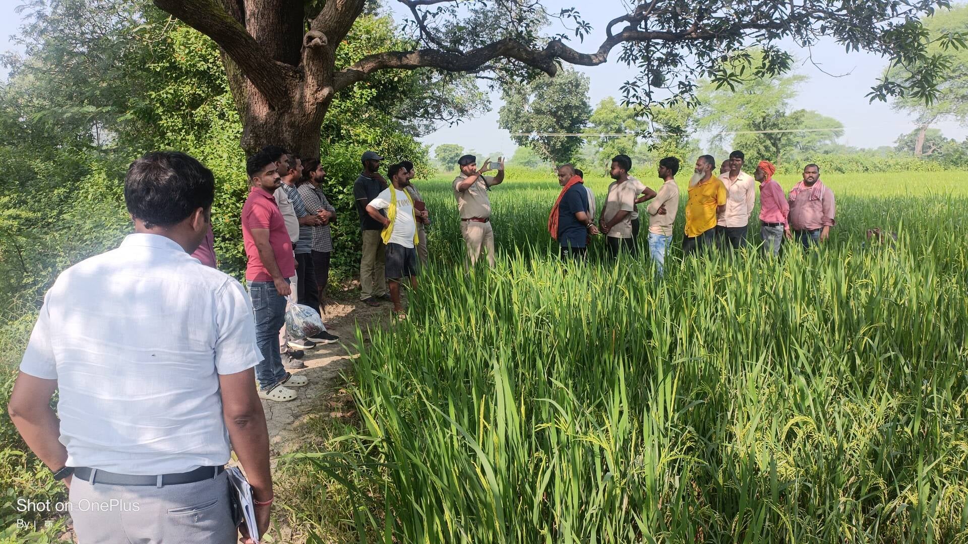 मौत में मातम