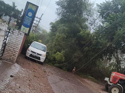 नालागढ़ के किरपाल पुर में बिजली की तारों पर गिरा हुआ पेड़ स्रोत: संवाद