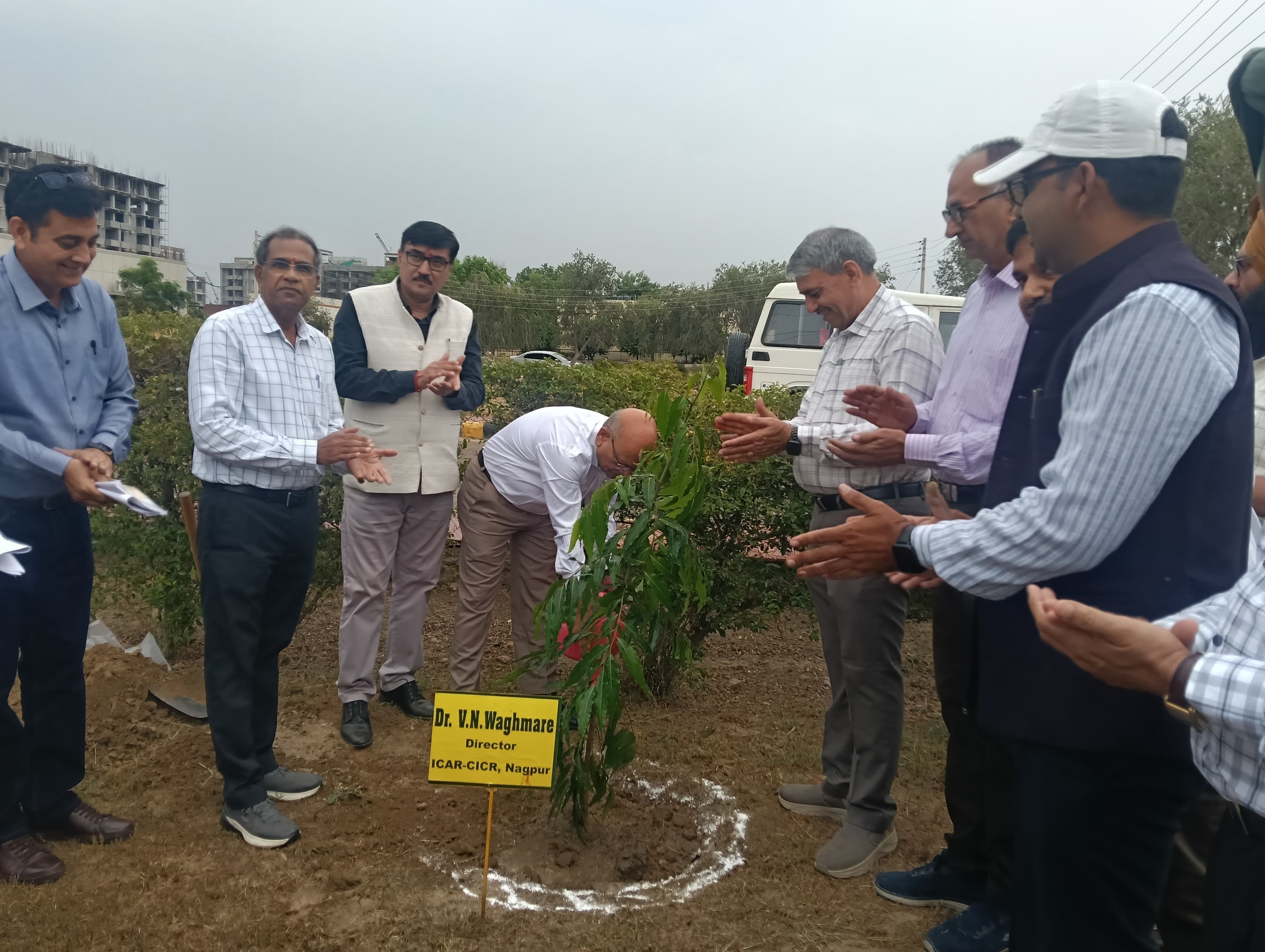 सिरसा। सम्मेलन समाप्त होने के बाद पौध रोपण करते हुए डॉ. यादव। संस्थान