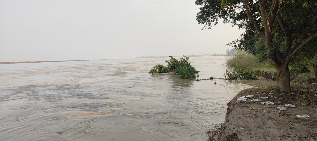 Pilibhit News: शारदा नदी की कटान जारी, धनाराघाट पर एक एकड़ जंगल की जमीन नदी में समाई