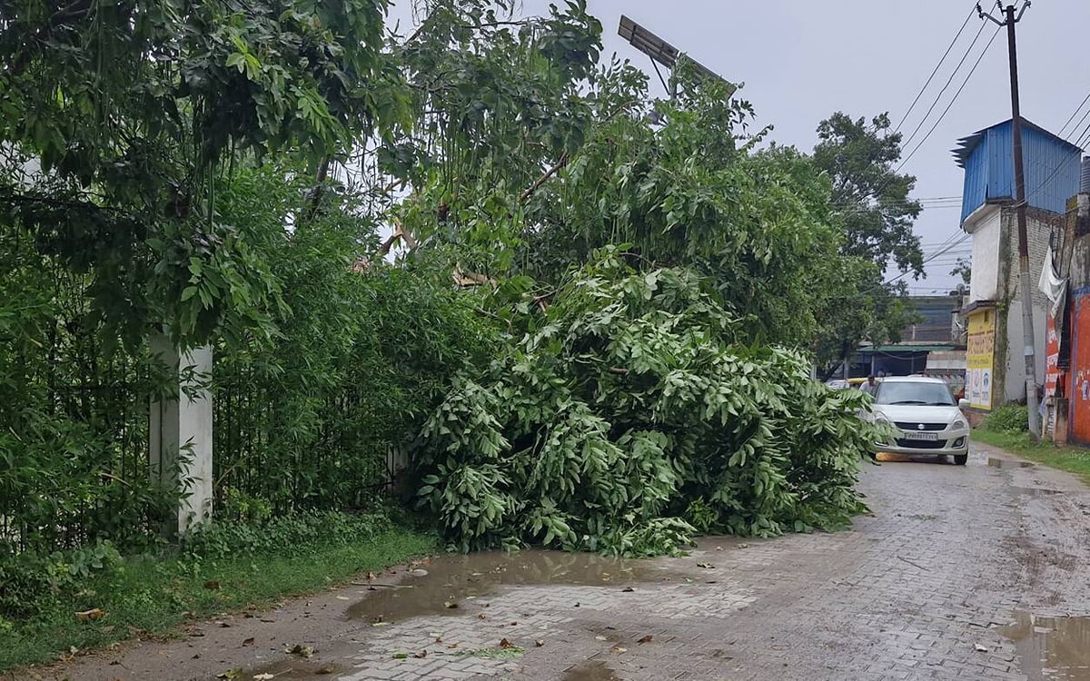 Bijnor News: आंधी और बारिश से गिरा तापमान, शाकंभरी में अलर्ट, भूरादेव पर रोके श्रद्धालु
