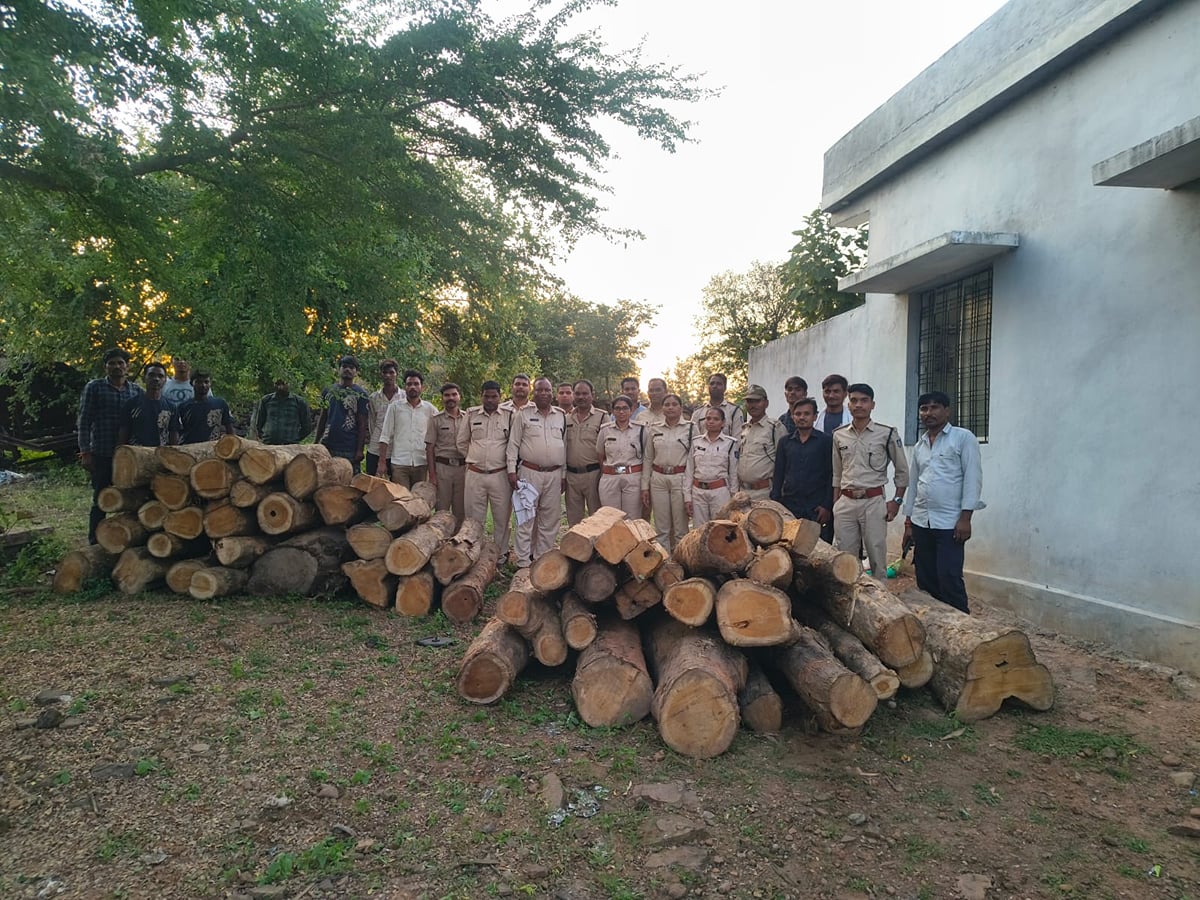 सागर: टाइगर रिजर्व में तस्करों के हौसले बुलंद, 52 नग अवैध सागौन की लकड़ी जब्त, सुरक्षा पर उठे गंभीर सवाल
