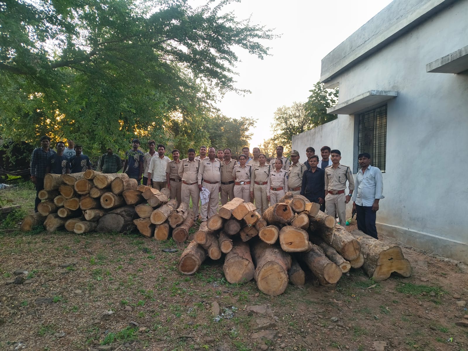 जप्त सागौन के साथ वन अमला
