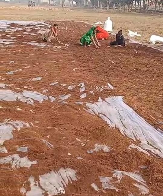 Noida News: नारियल के कचरे से रोजगार, यूपीआईडी में बढ़े स्टार्टअप