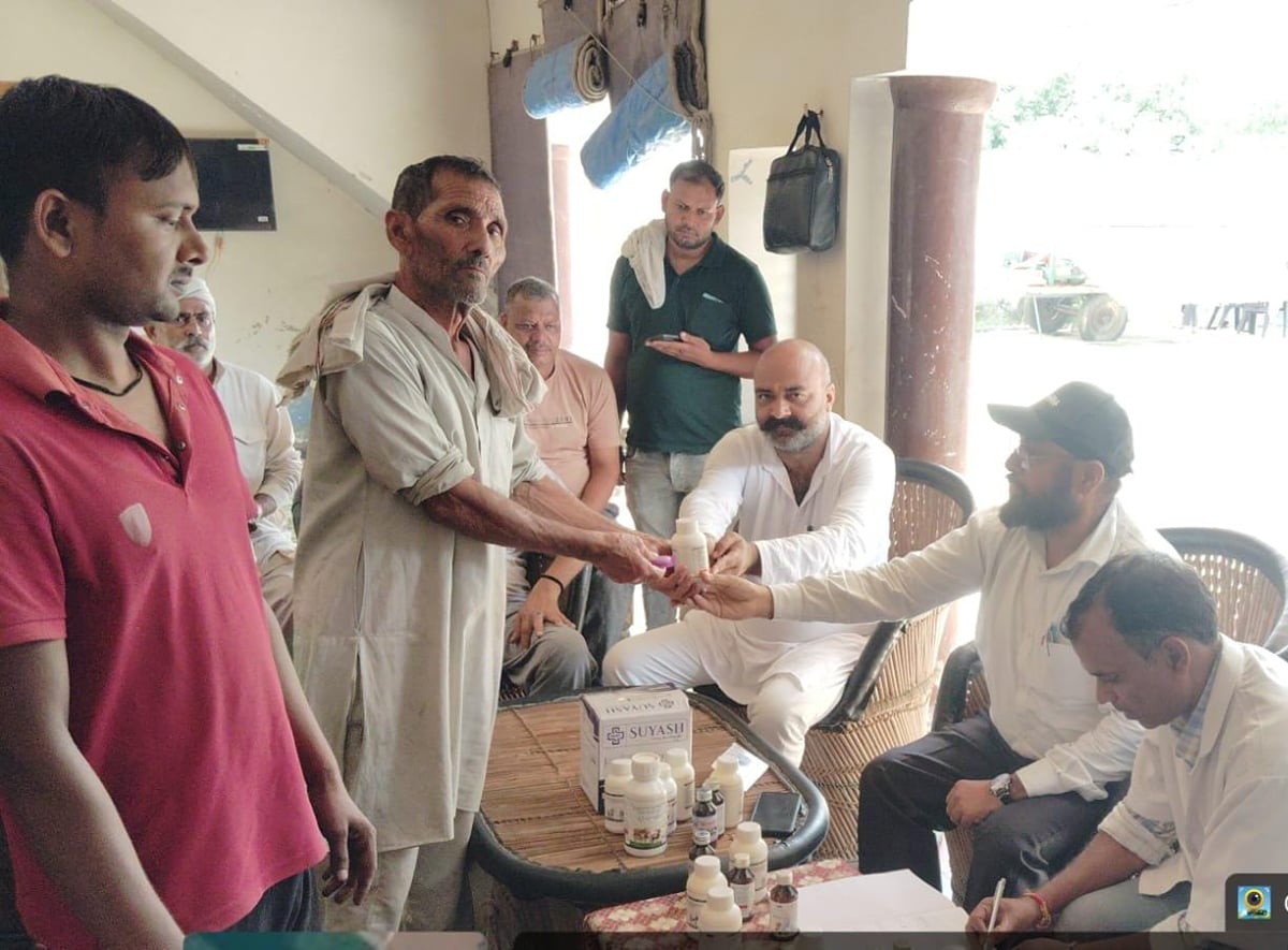 Meerut News: बाडम में शिविर में 180 पशुओं का किया उपचार