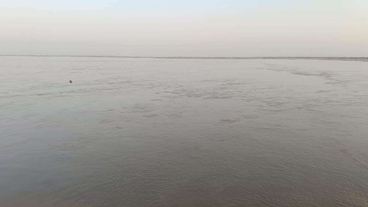 Kushinagar News: गंडक नदी का बैकरोल कटान तेज, बेअसर साबित हो रहे बचाव कार्य