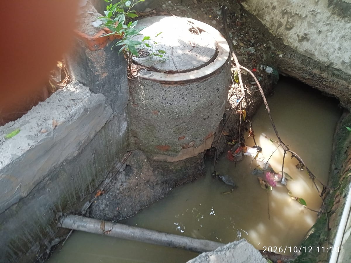 Noida News: घरों में बैक मार रहा सीवर, सेक्टर-51 में जलनिकासी ठप