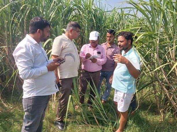 Basti News: गन्ना सर्वे में 60 फीसदी प्लॉटों में मिली विसंगति
