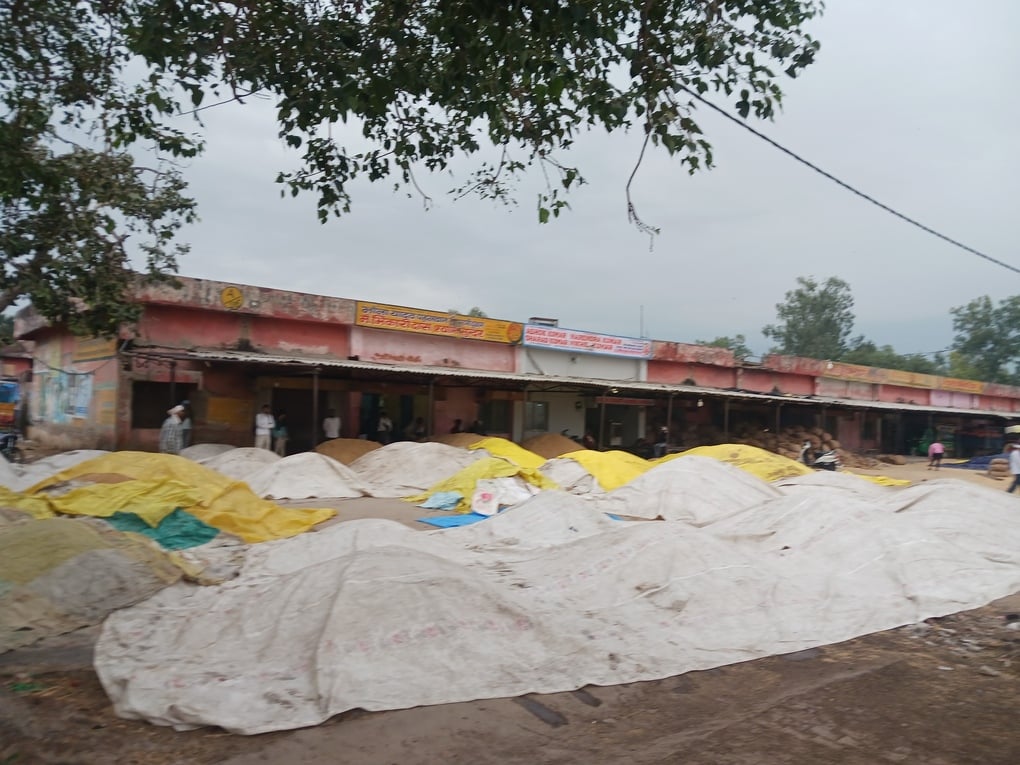 Hathras News: दो दिन के इंतजार के बाद मंडी पहुंचते ही बरस गई आफत
