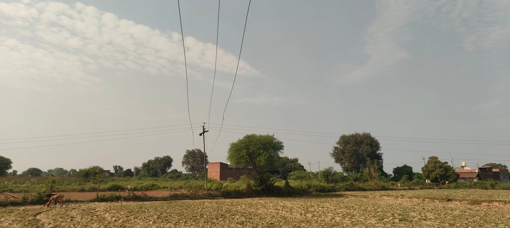 Etawah News: खेतों के ऊपर झूलते हाईटेंशन तार दे रहे हादसे को दावत