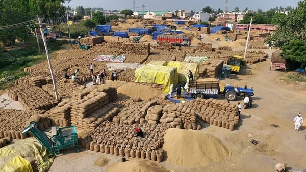 फोटो 7 नरवाना। नईं अनाज मेला मंडी में धान से भरे बेगो के ढेर। संवाद।