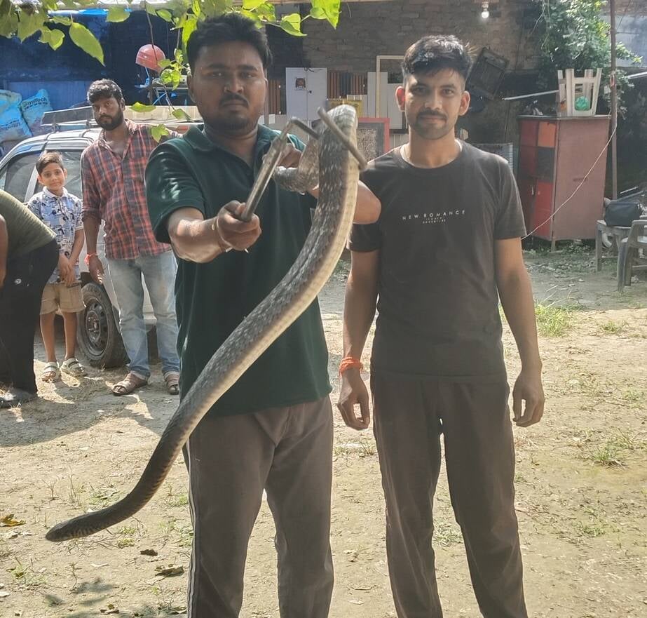 Lakhimpur Kheri News: गोदाम में विशालकाय सांप, रेस्क्यू टीम ने सुरक्षित निकाला