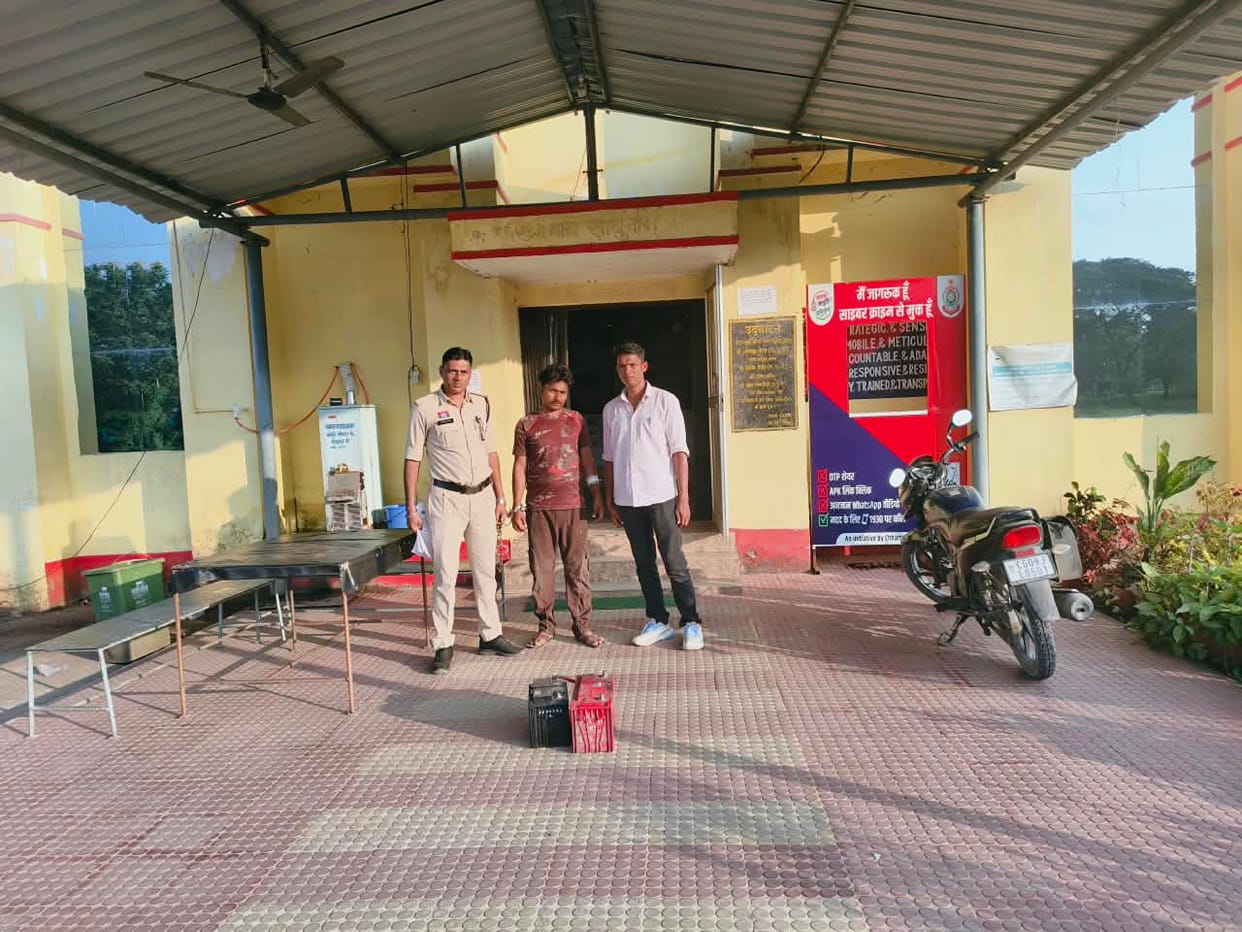 theft gang arrived in Artica car, held knife to clerk's neck, one arrested for stealing parked vehicle wheels,