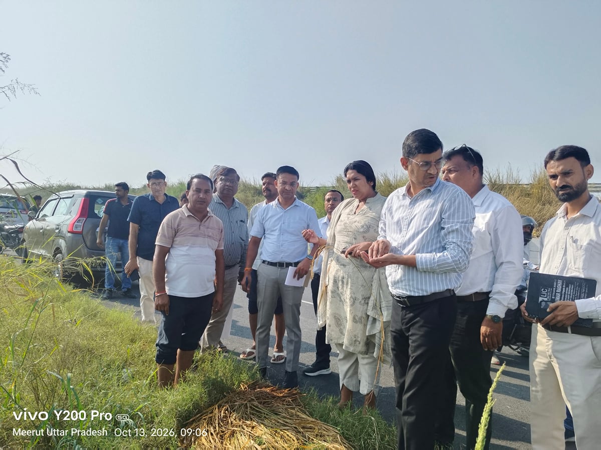 Meerut News: ओलावृष्टि से फसलों में हुए नुकसान का जायजा लेने पहुंचे अधिकारी