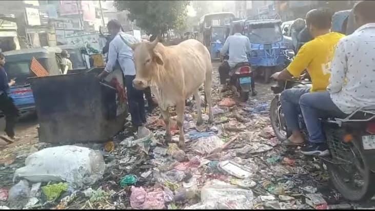 मेरी आवाज सुनो : सड़क में फैला कचरा