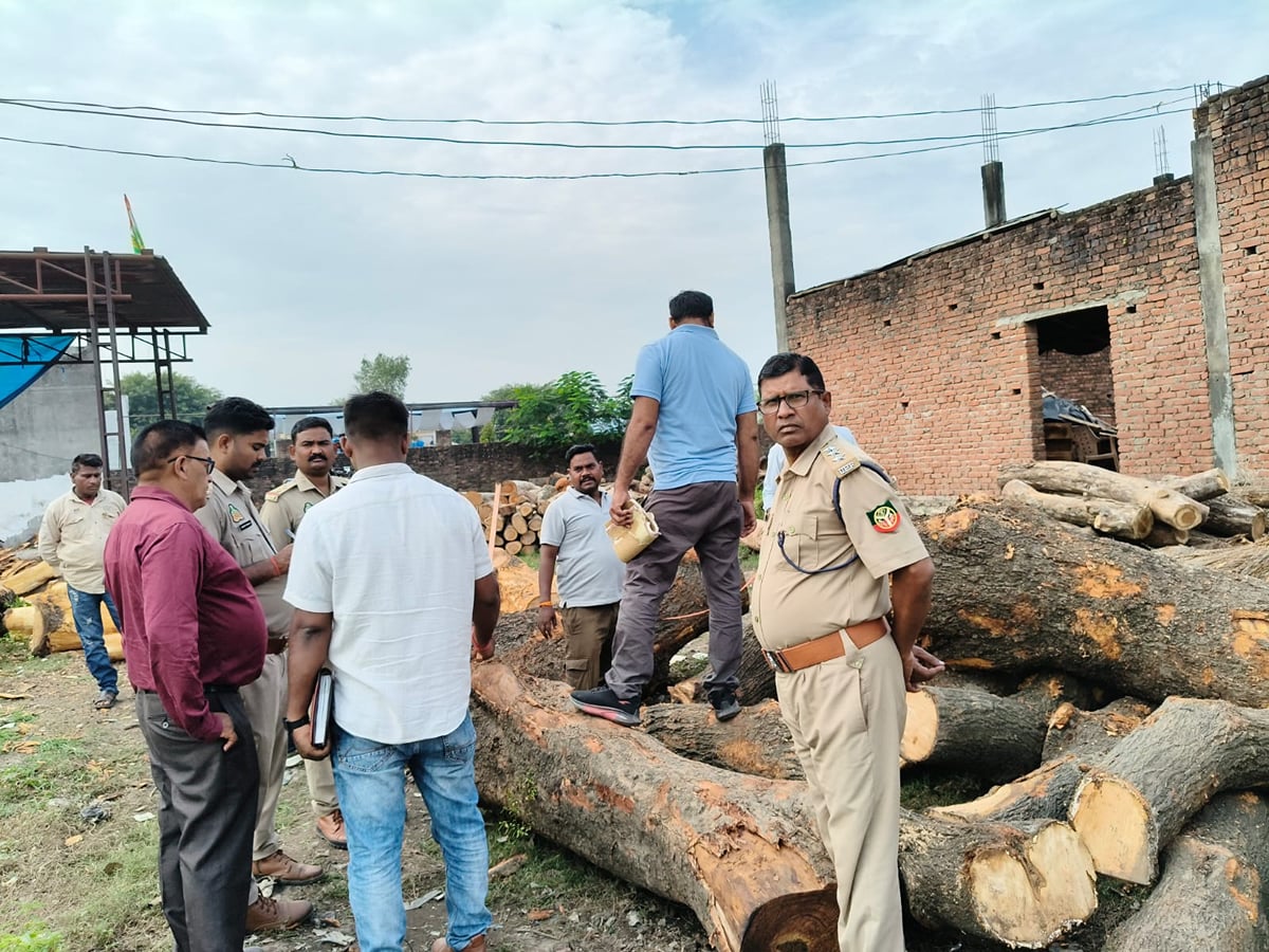 Pilibhit News: सामाजिक वानिकी का आरा मशीन पर छापा, शीशम, आम की पचास बोटे लकड़ी बरामद