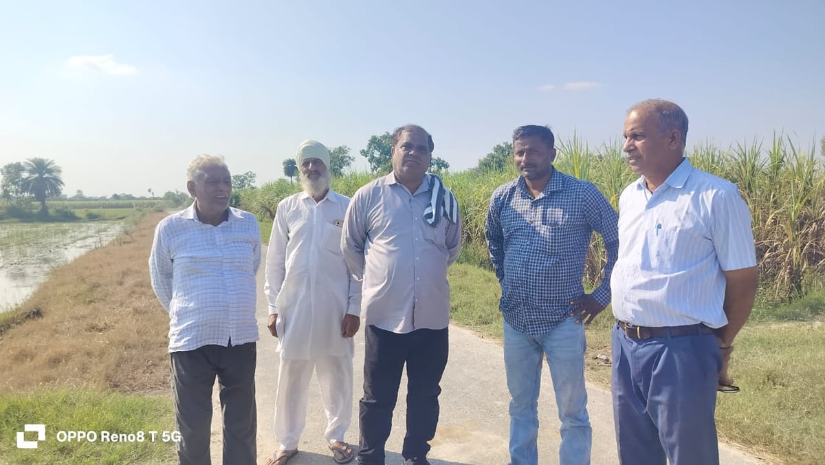 Meerut News: रठौरा खुर्द में अधूरे नाले से जलभराव, फसलों को नुकसान