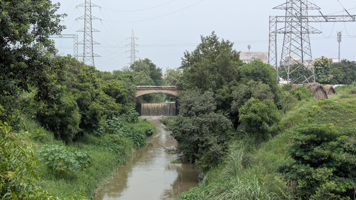Noida News: ग्रेनो वेस्ट-लिंक रोड पर नहर के किनारे बनेगी सुरक्षा दीवार