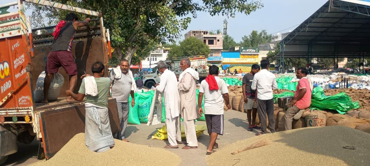 बाजरा बेचने के लिए मंडी में पहुंचे किसान। संवाद