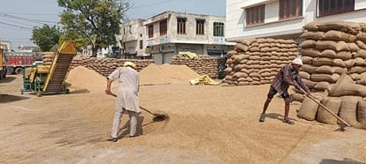 चीका मंडी में धान को सुखाने का प्रयास करते किसान। संवाद