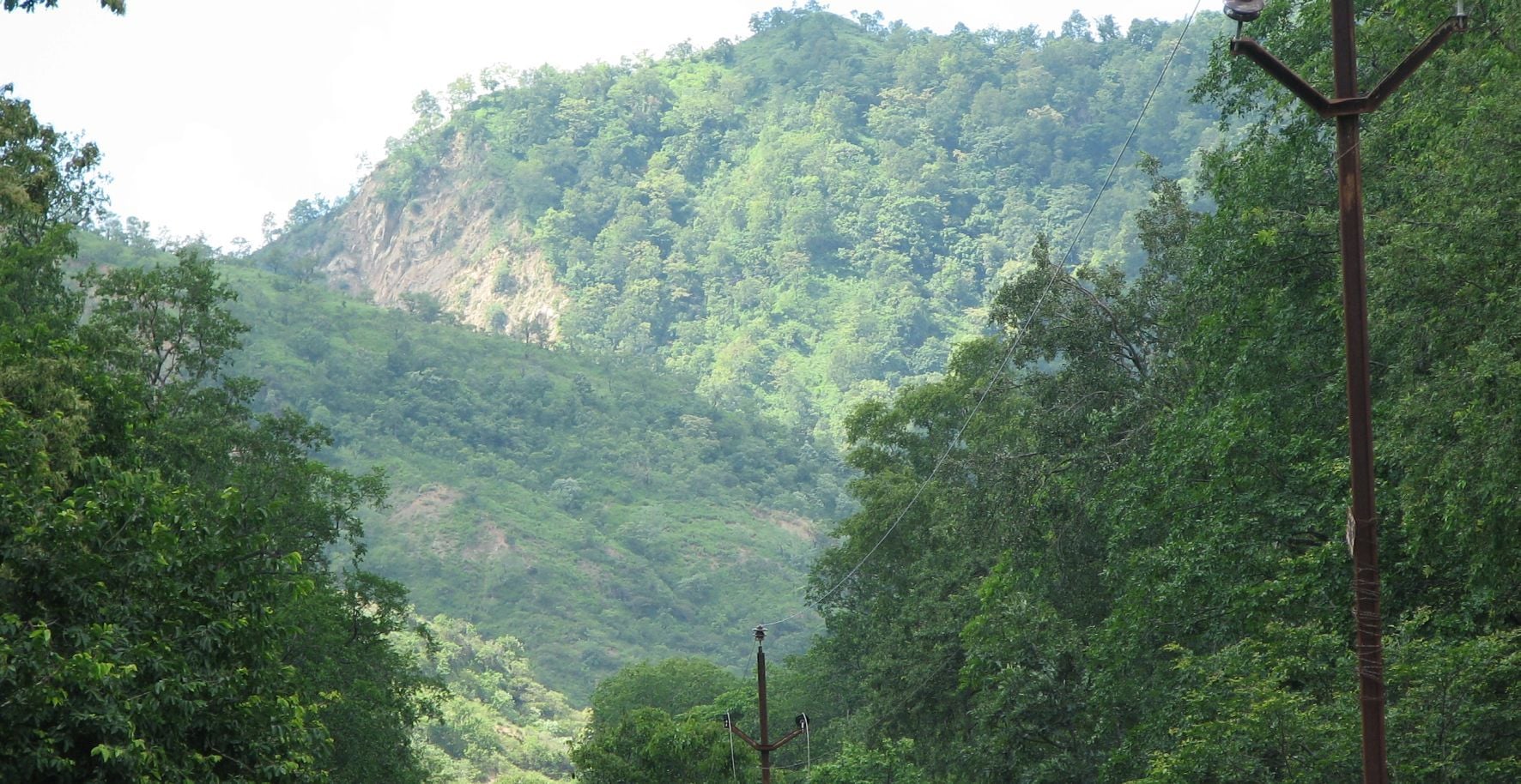 Over 150 leopards in Sohelwa; safari awaits despite approval