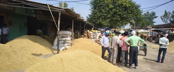 मंडी समिति में लगे धान के ढेर। संवाद